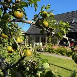 Family Summerhouse *